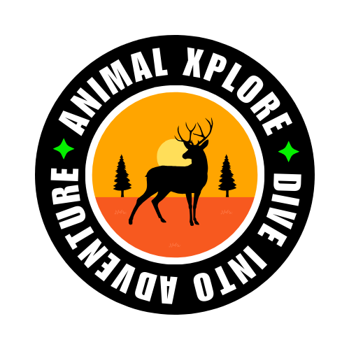 AnimalXplore